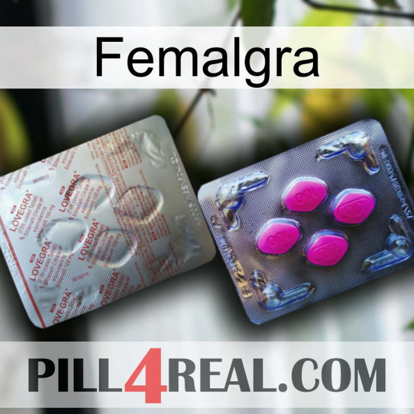 Femalgra 38.jpg
